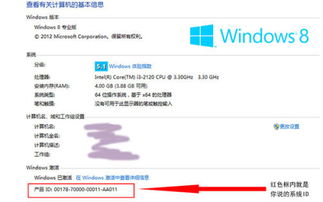 操作系統(tǒng)軟件產(chǎn)品ID查詢指南及常德軟件開發(fā)服務(wù)概覽